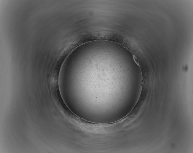 X0000090730040200707271413