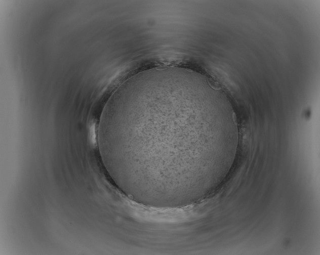 X0000090730042200707271413
