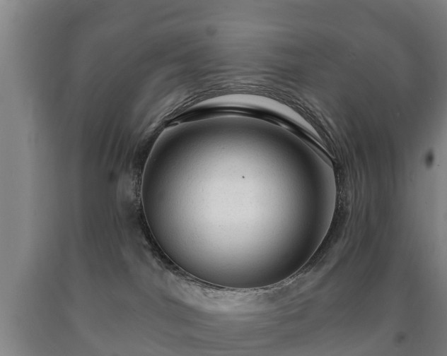 X0000090730044200707271413