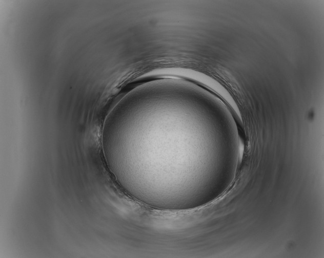 X0000090730045200707271413