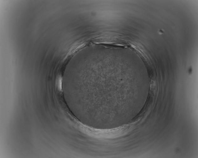 X0000090730046200707271413