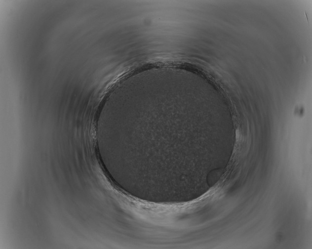 X0000090730048200707271413