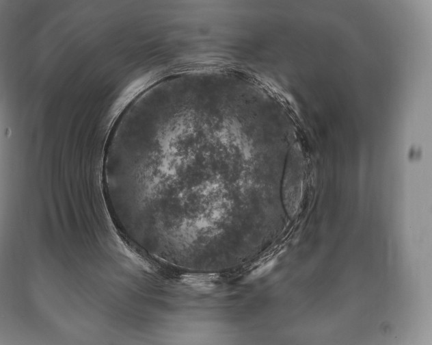 X0000090730051200707271412