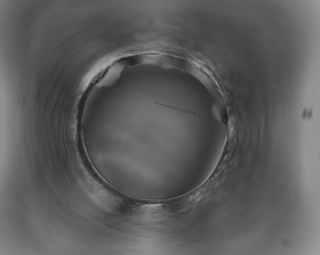 X0000090730054200707271412