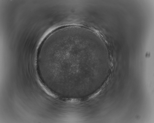 X0000090730056200707271412