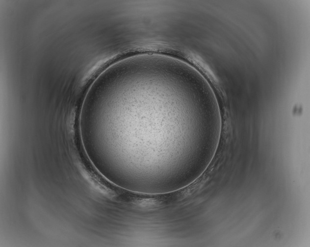 X0000090730058200707271412