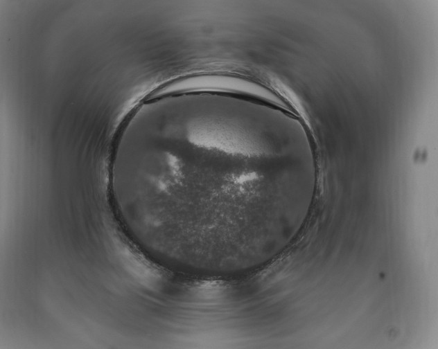 X0000090730059200707271412