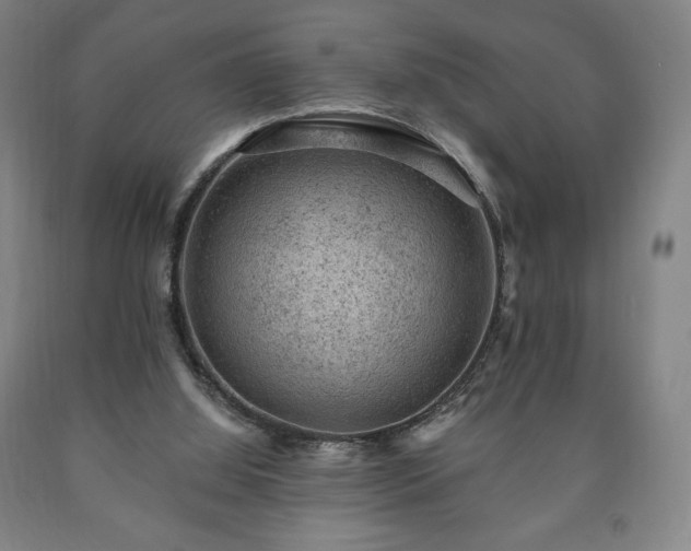 X0000090730060200707271412