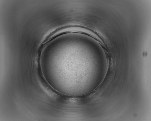 X0000090730064200707271412