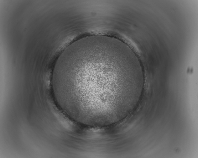 X0000090730065200707271412