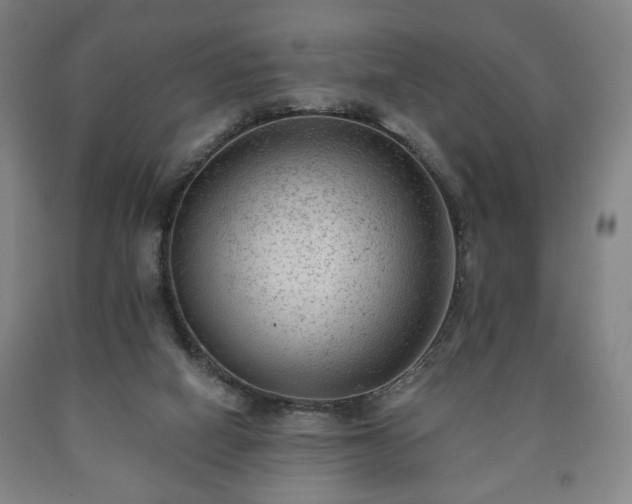 X0000090730066200707271412