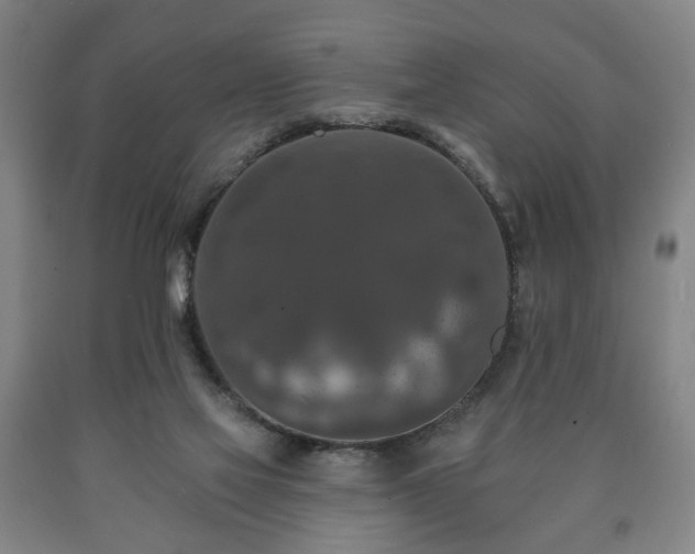 X0000090730069200707271412