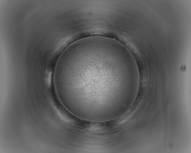 X0000090730070200707271412
