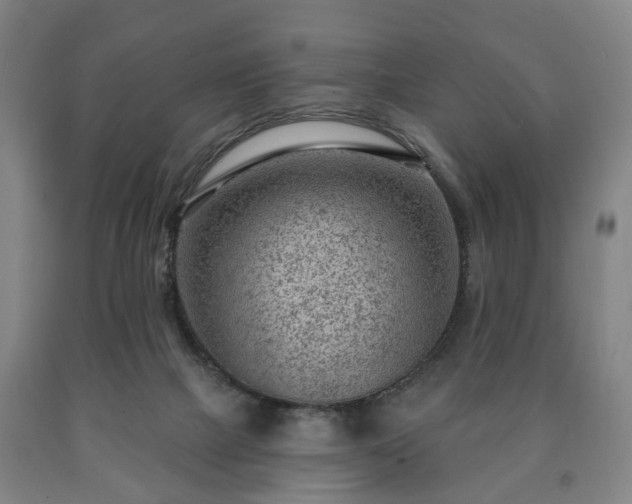 X0000090730073200707271412