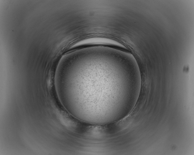 X0000090730074200707271412