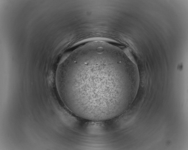 X0000090730077200707271412