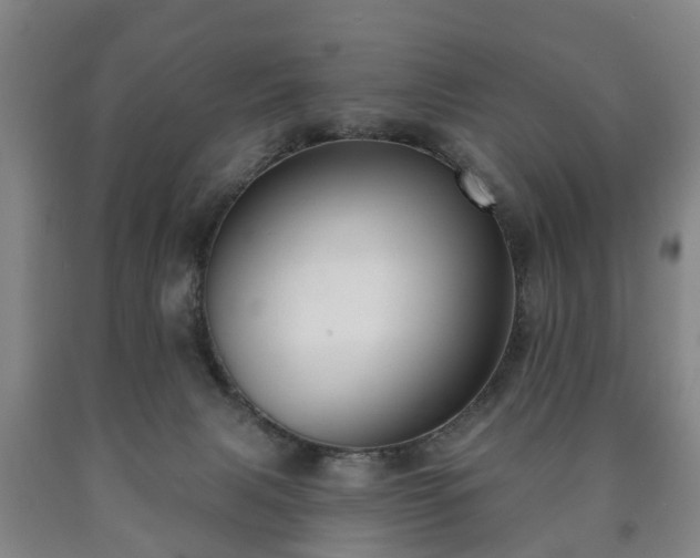 X0000090730079200707271412