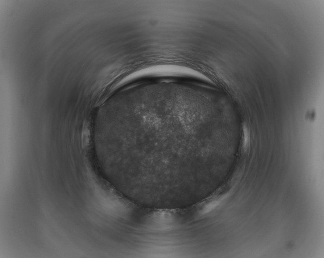 X0000090730080200707271413