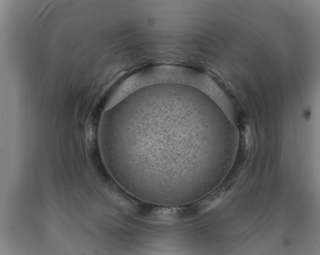 X0000090730084200707271413