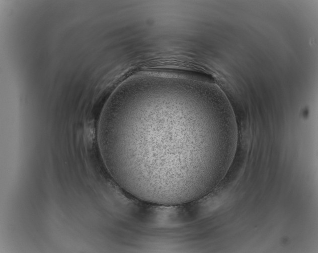 X0000090730085200707271413