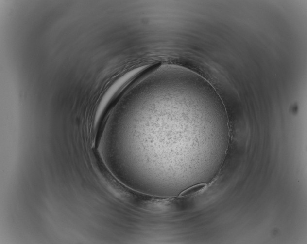 X0000090730086200707271413