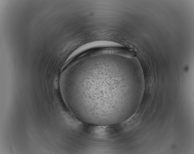 X0000090730090200707271413