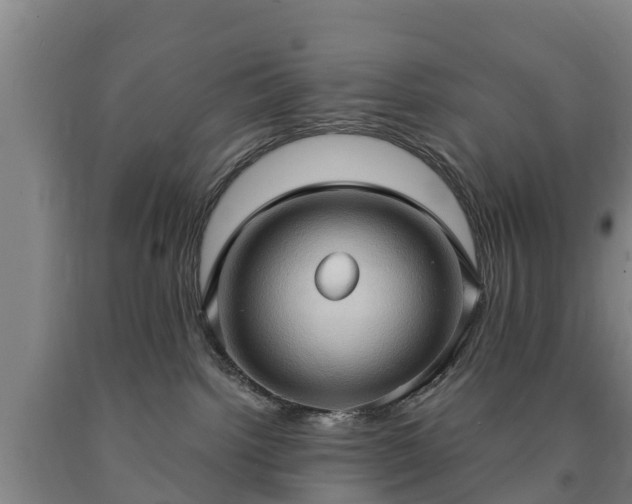X0000090730092200707271413
