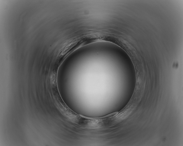 X0000090730096200707271413