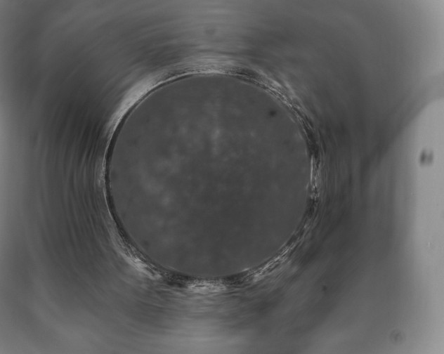 X0000090730099200707271412