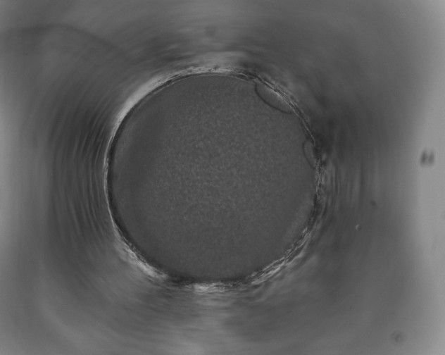 X0000090730100200707271412
