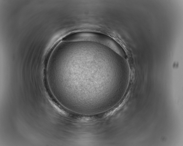 X0000090730101200707271412