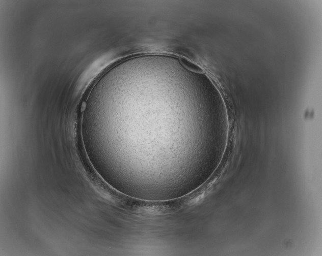 X0000090730103200707271412