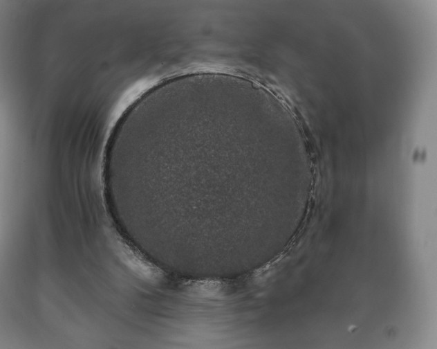 X0000090730104200707271412