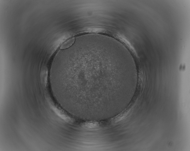 X0000090730110200707271412