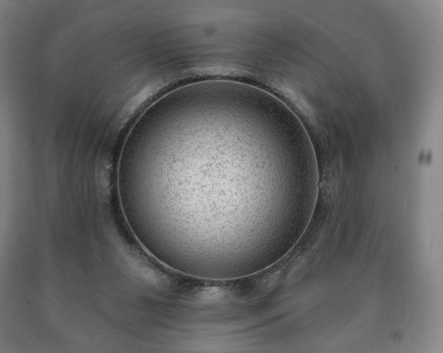 X0000090730111200707271412