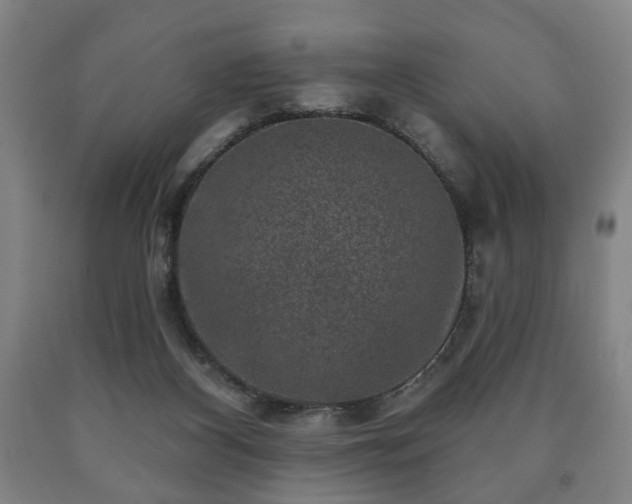 X0000090730116200707271412
