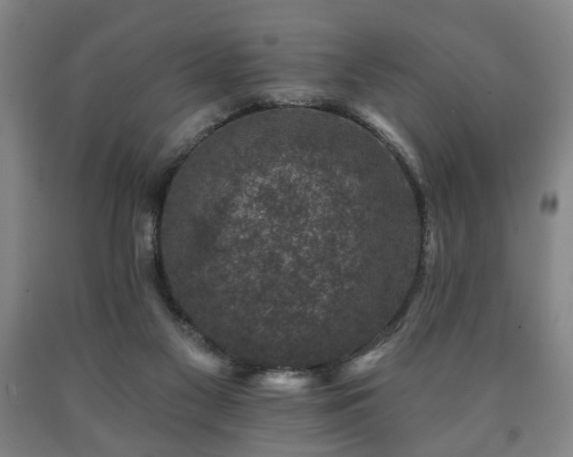 X0000090730117200707271412
