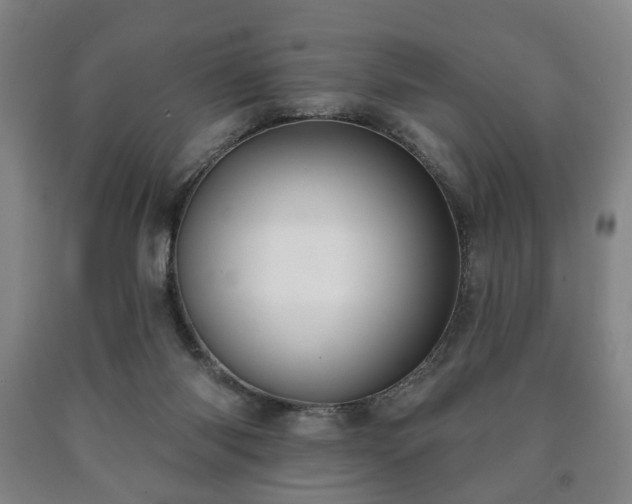 X0000090730118200707271412