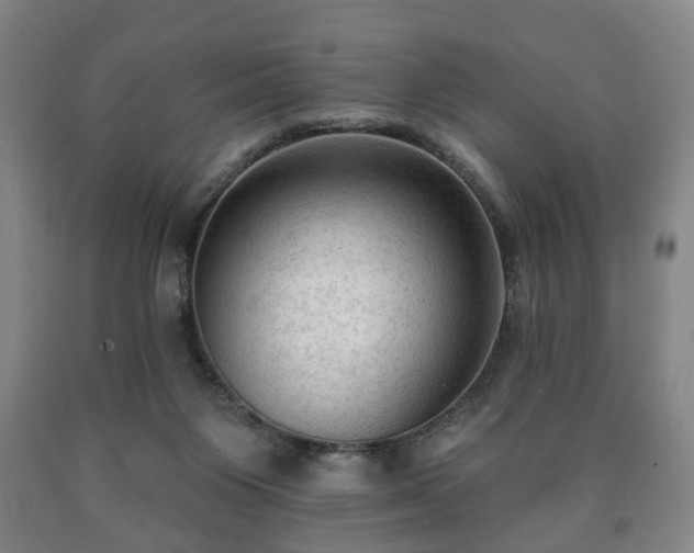 X0000090730119200707271412