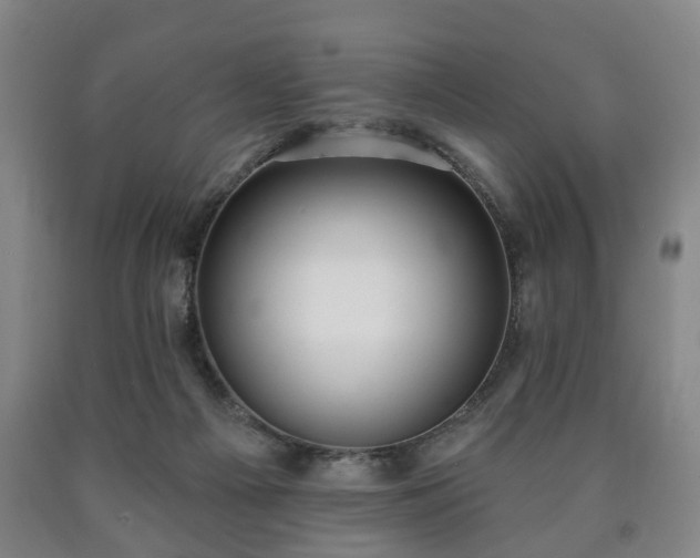 X0000090730121200707271412