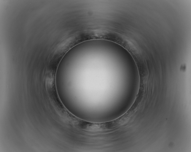 X0000090730129200707271412