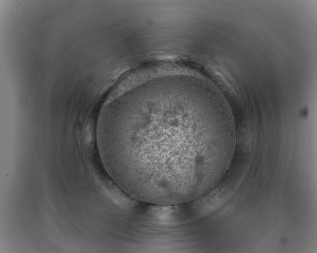 X0000090730131200707271412