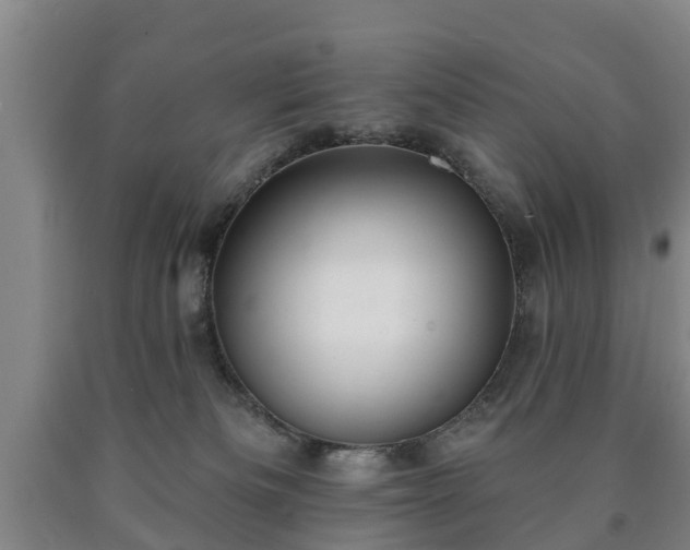 X0000090730133200707271412