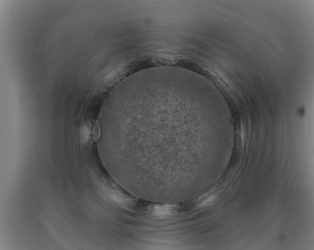 X0000090730134200707271412