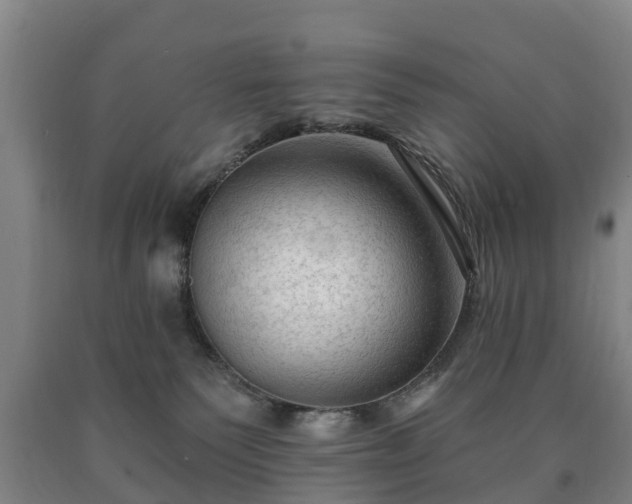 X0000090730135200707271412