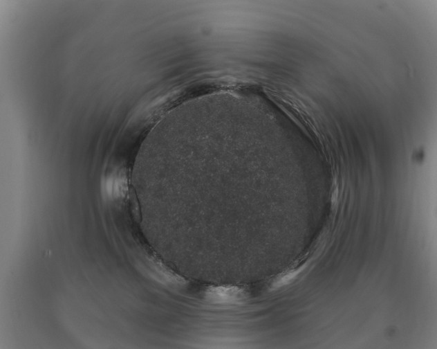 X0000090730137200707271412