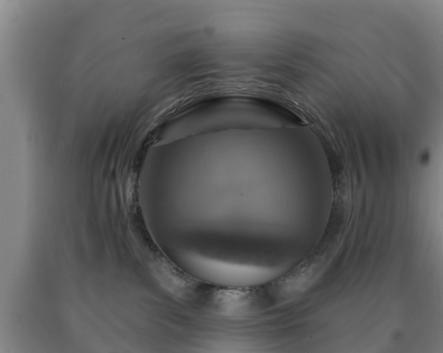 X0000090730139200707271412