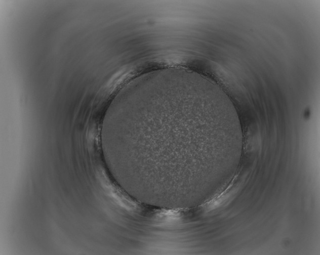 X0000090730140200707271412