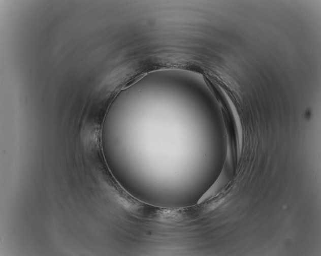 X0000090730141200707271412