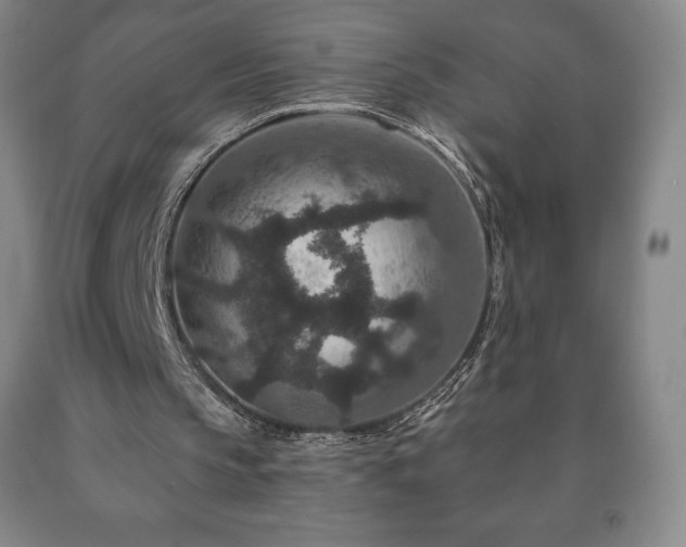 X0000090730145200707271411